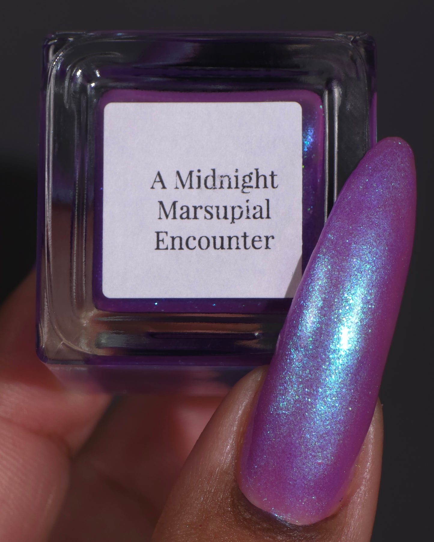 A Midnight Marsupial Encounter
