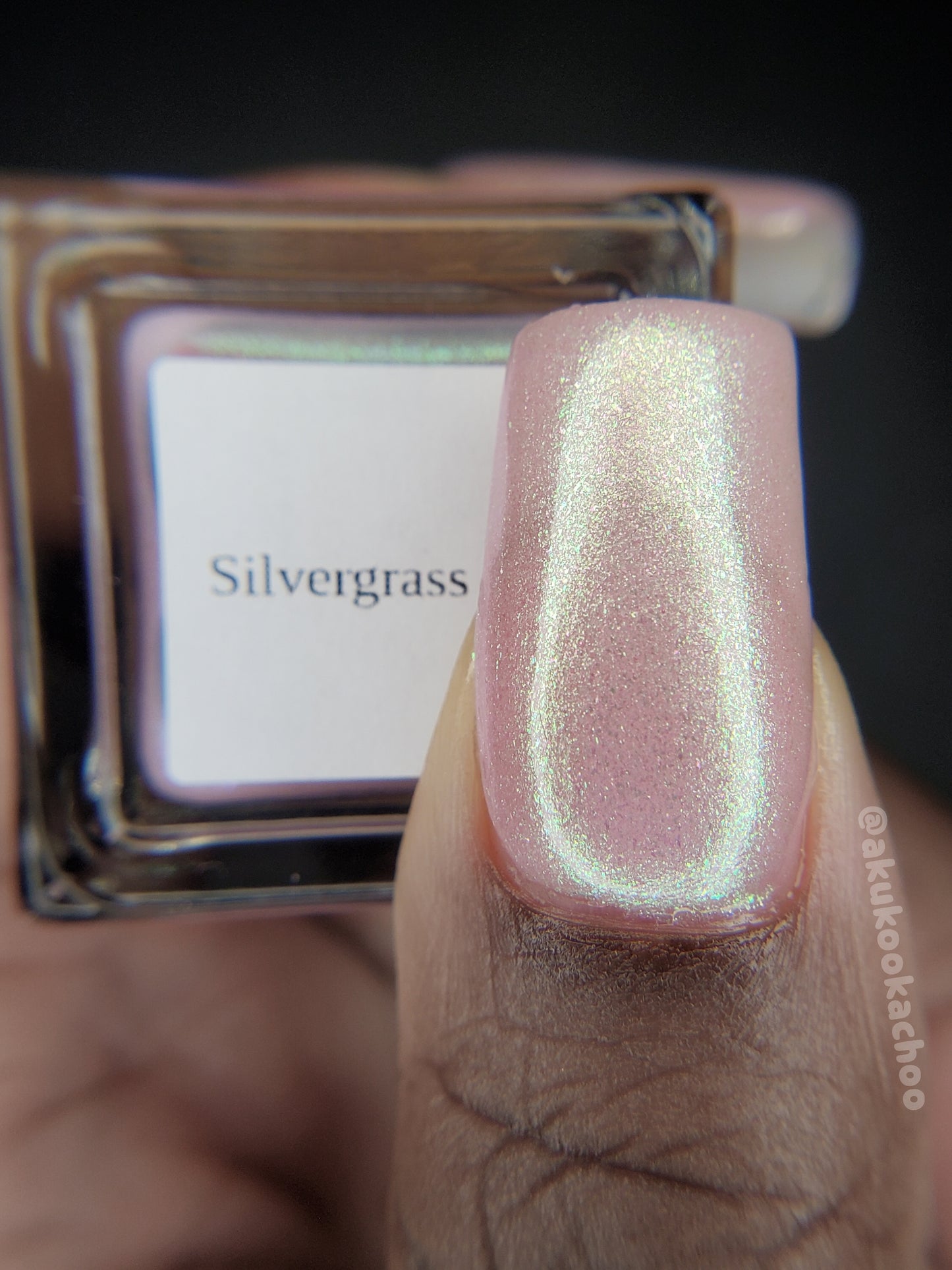 Silvergrass