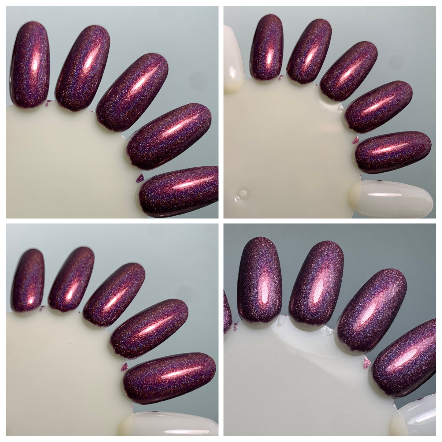 Through a Tangle of Barren Branches, the Sun Rises