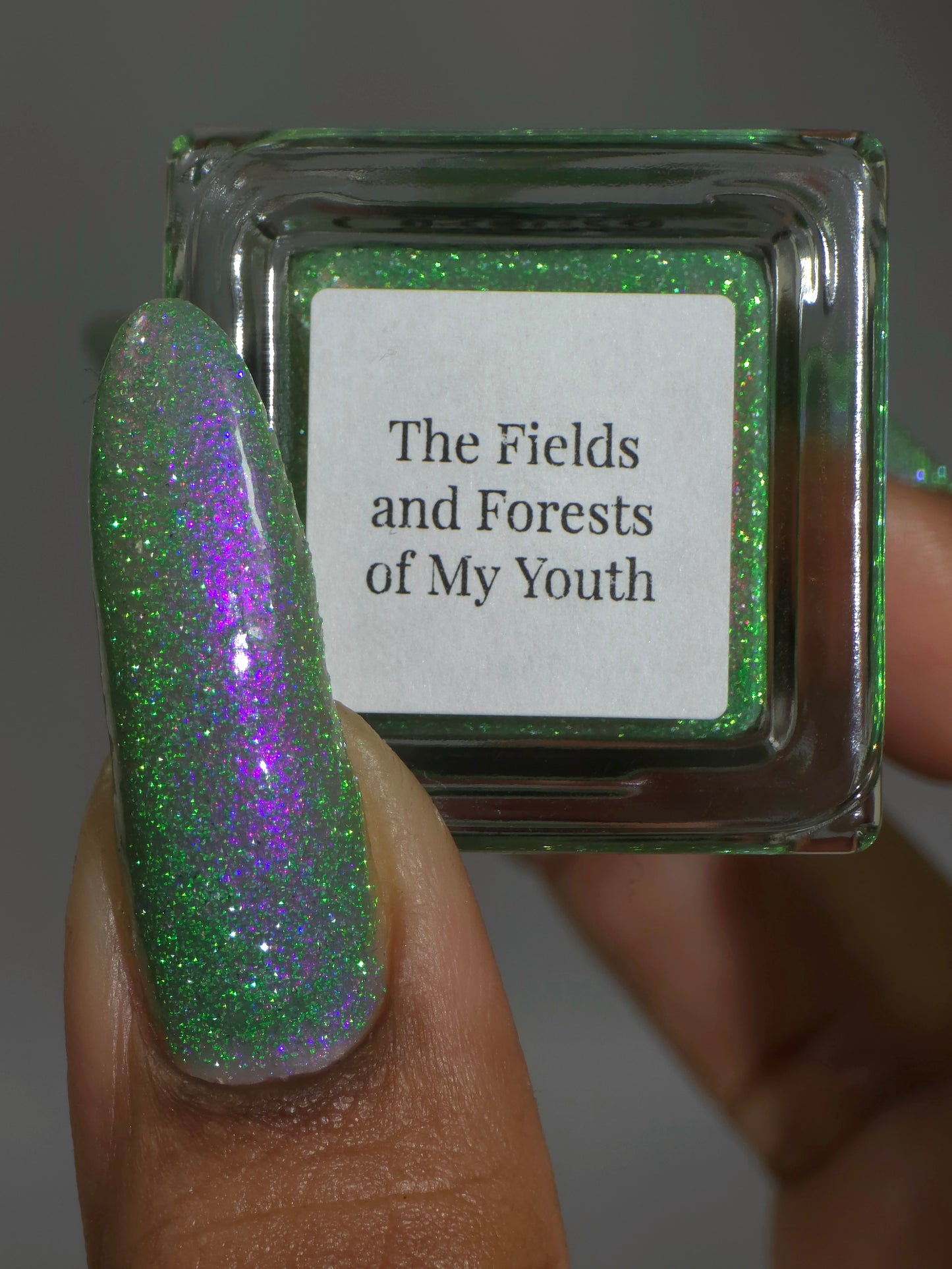 The Fields and Forests of My Youth