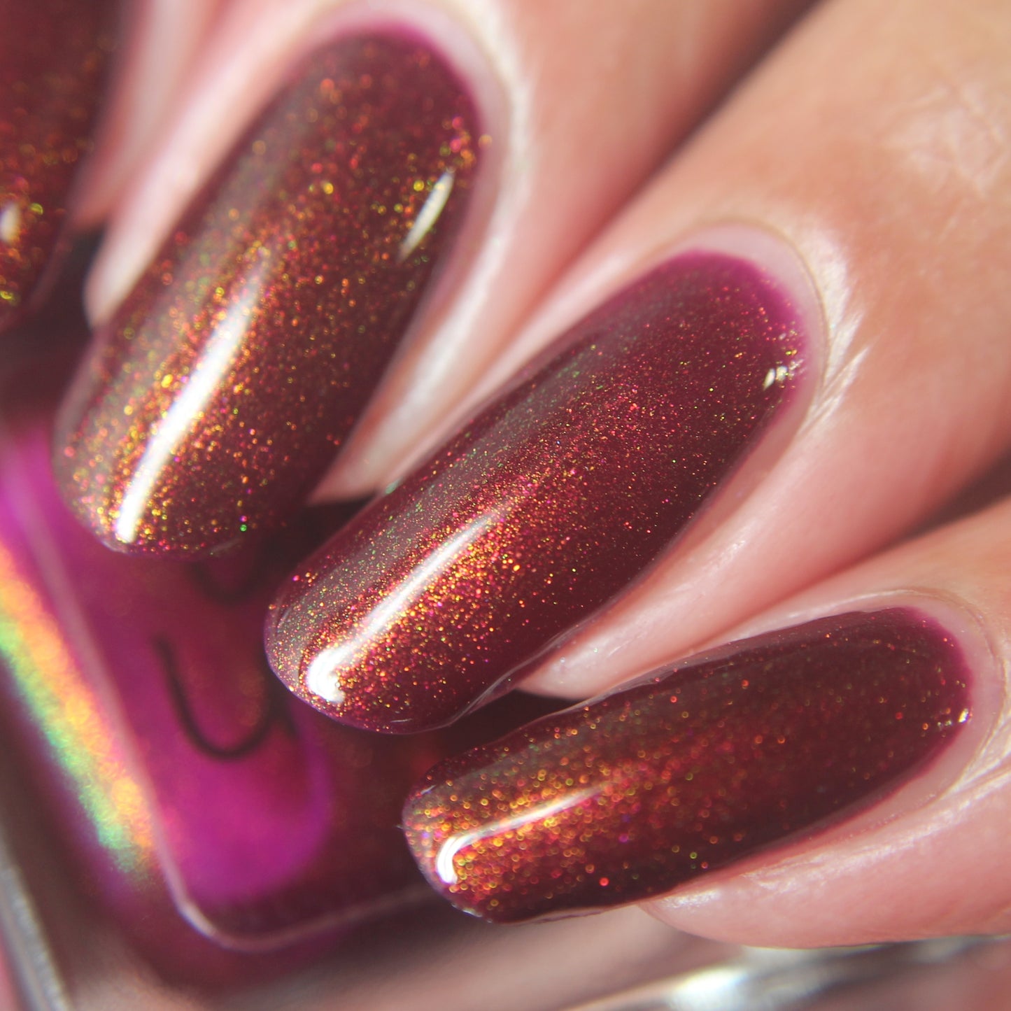 Autumnal Beauty (Aurora)