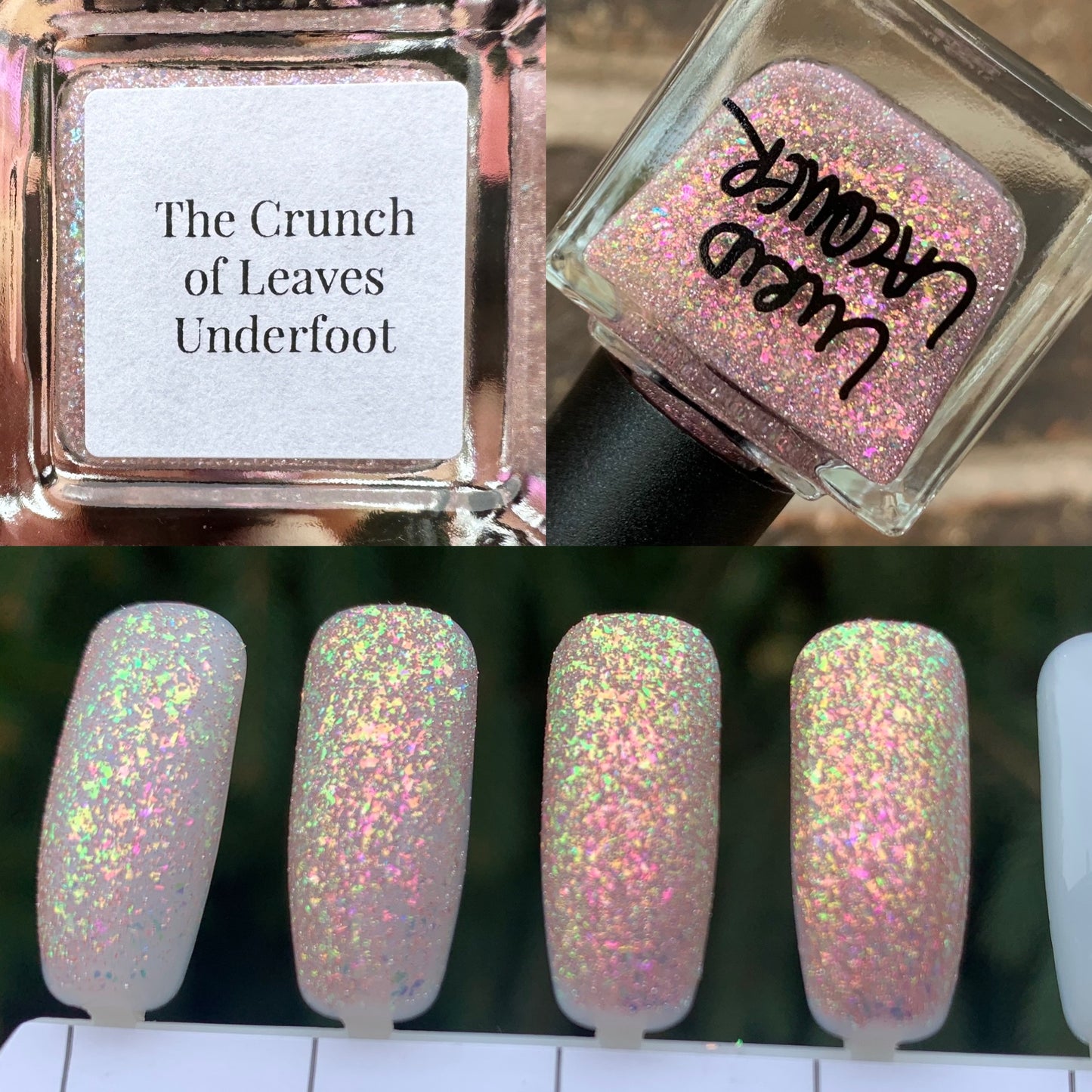 The Crunch of Leaves Underfoot