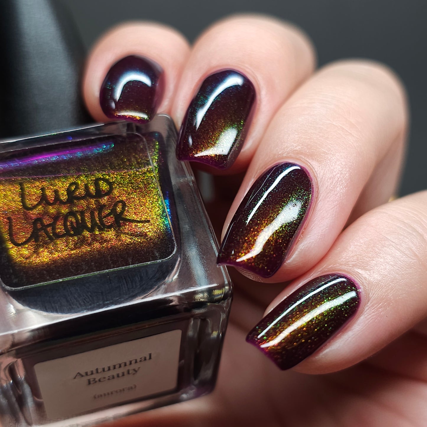Autumnal Beauty (Aurora)