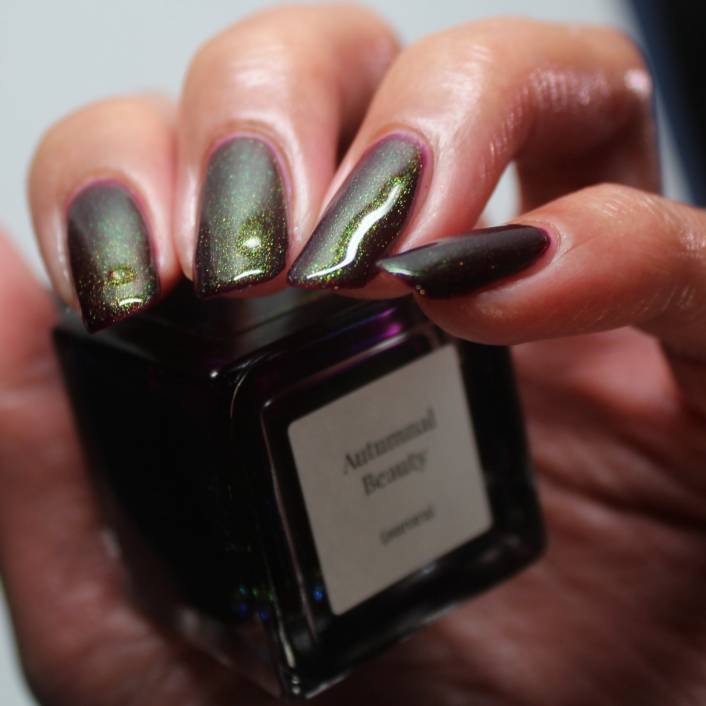 Autumnal Beauty (Aurora)