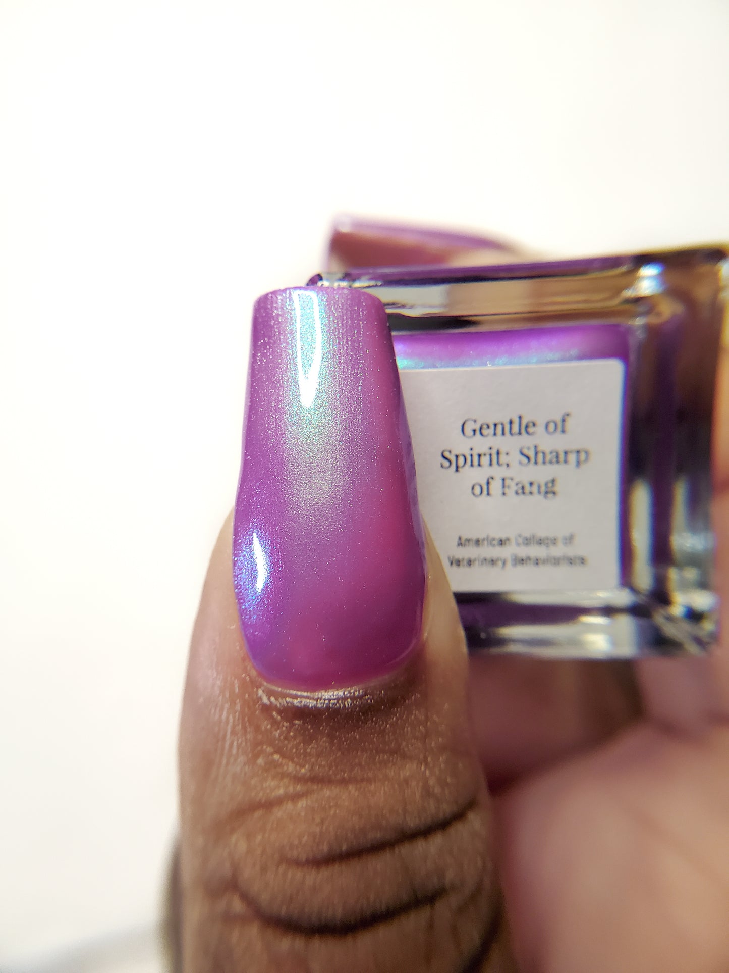 Gentle of Spirit; Sharp of Fang