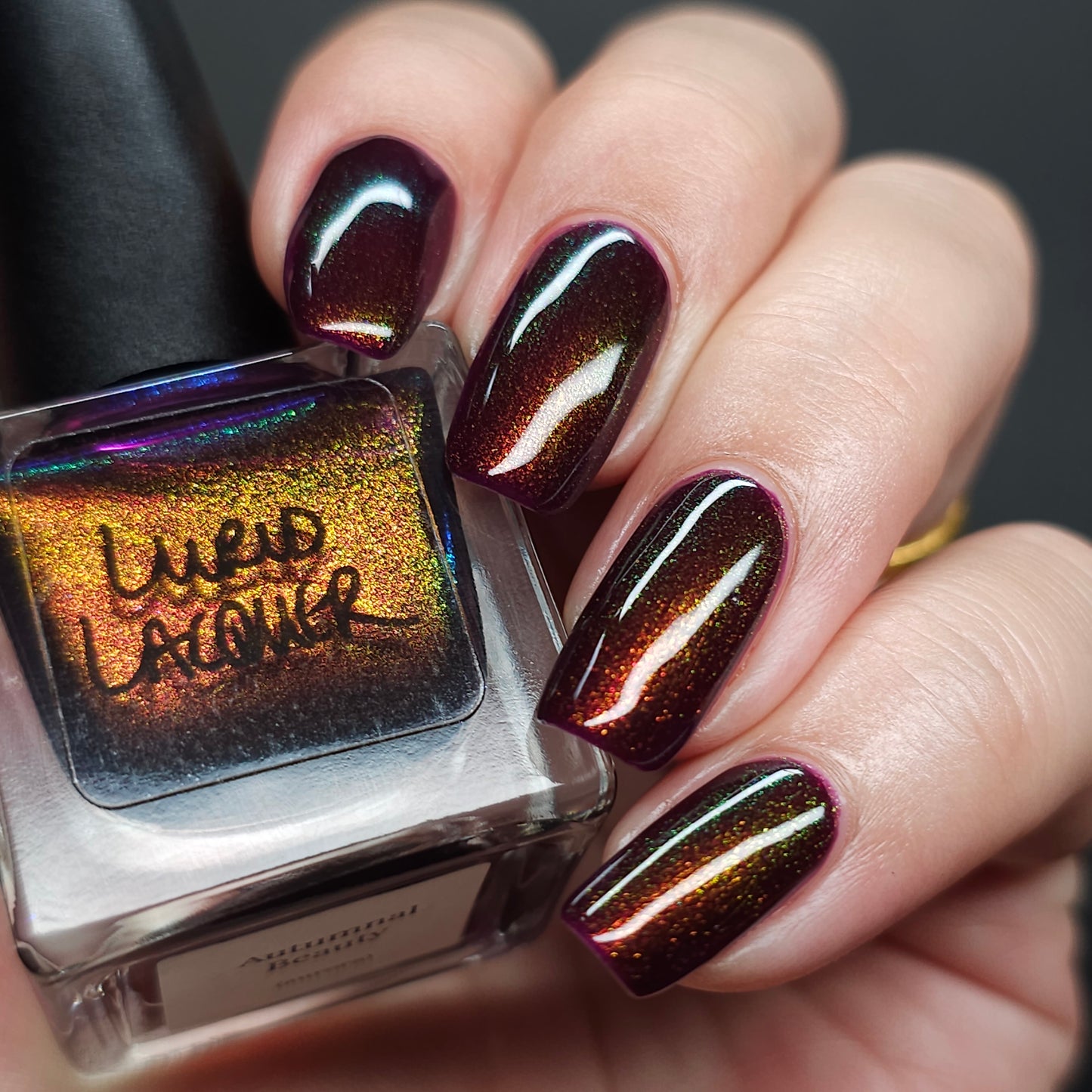 Autumnal Beauty (Aurora)
