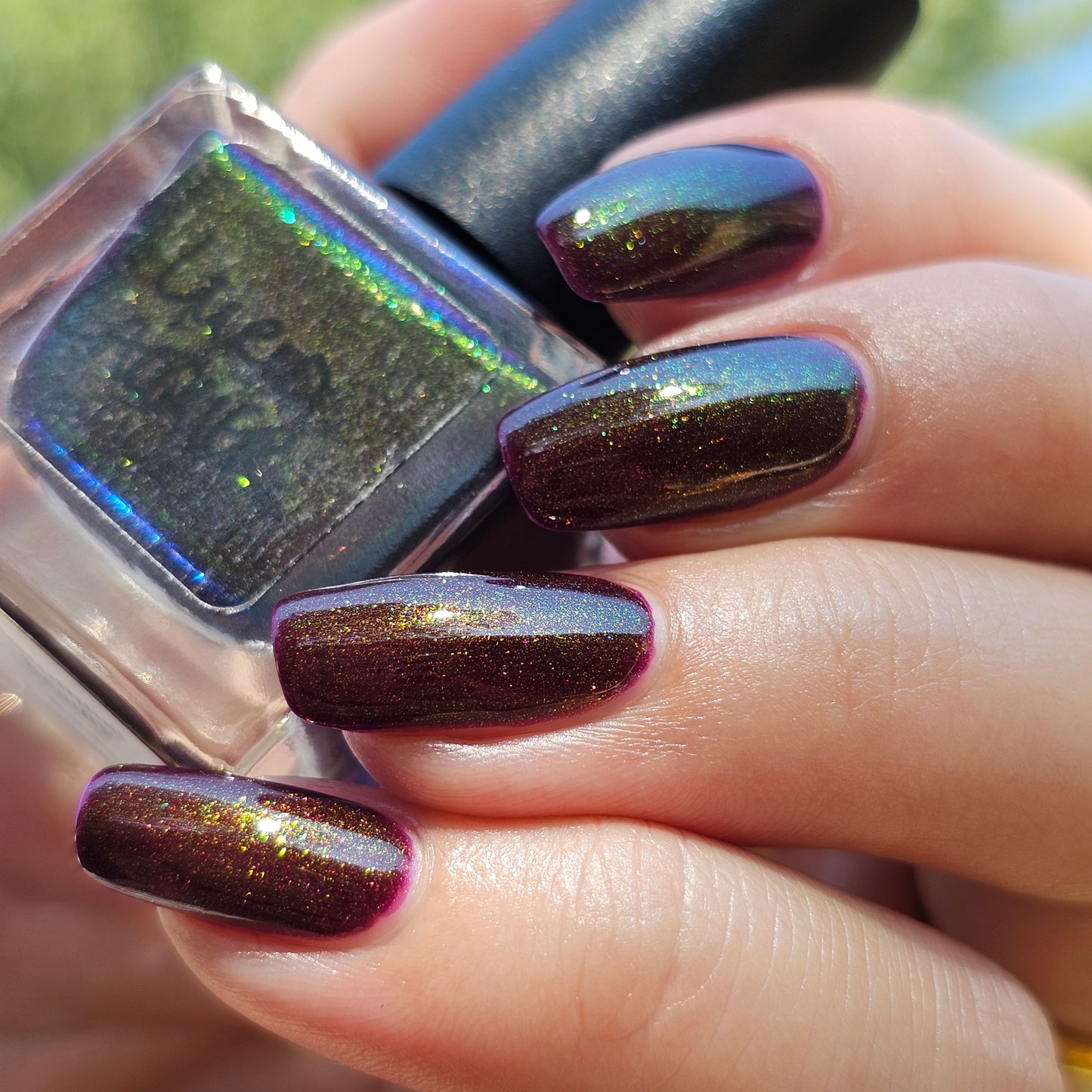 Autumnal Beauty (Aurora)