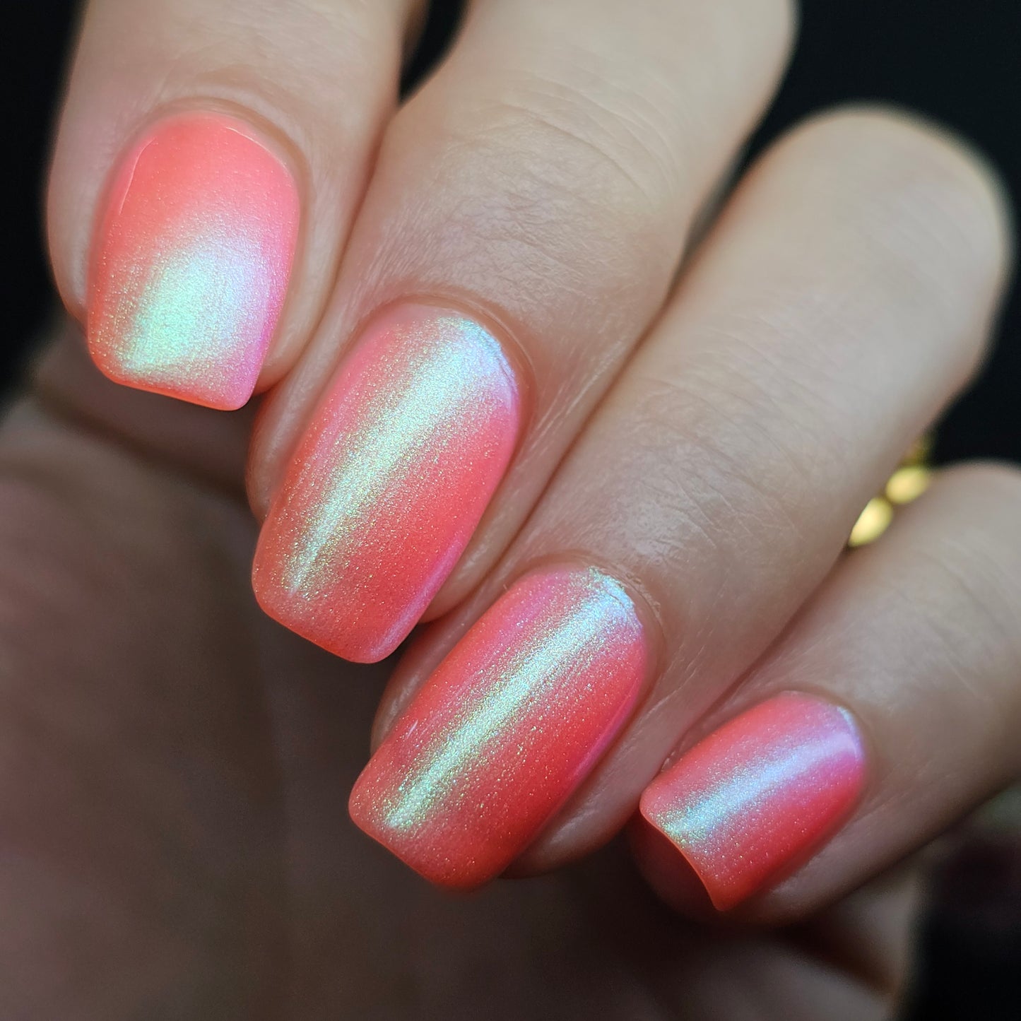 Sun Seeker