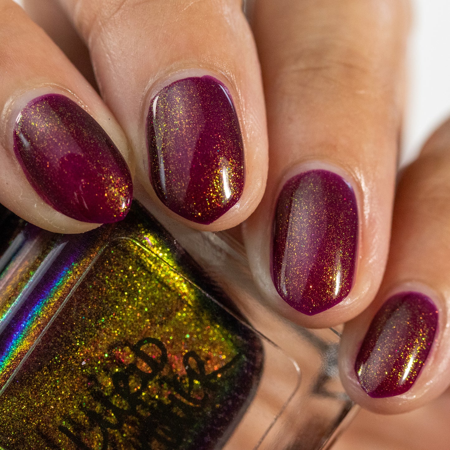 Autumnal Beauty (Aurora)