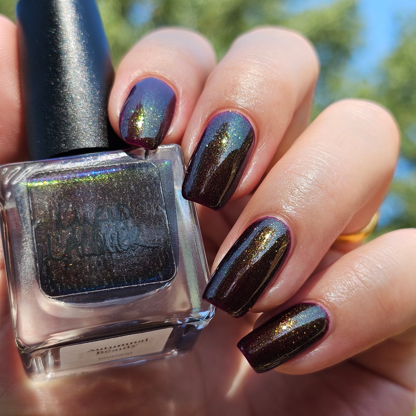 Autumnal Beauty (Aurora)
