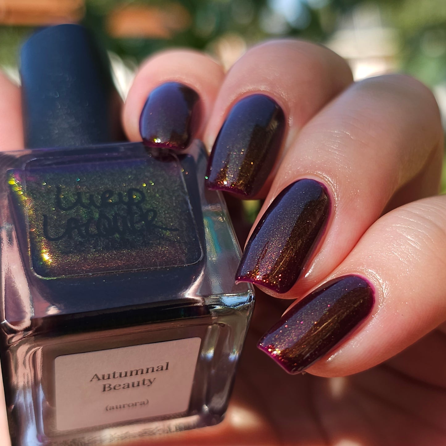 Autumnal Beauty (Aurora)
