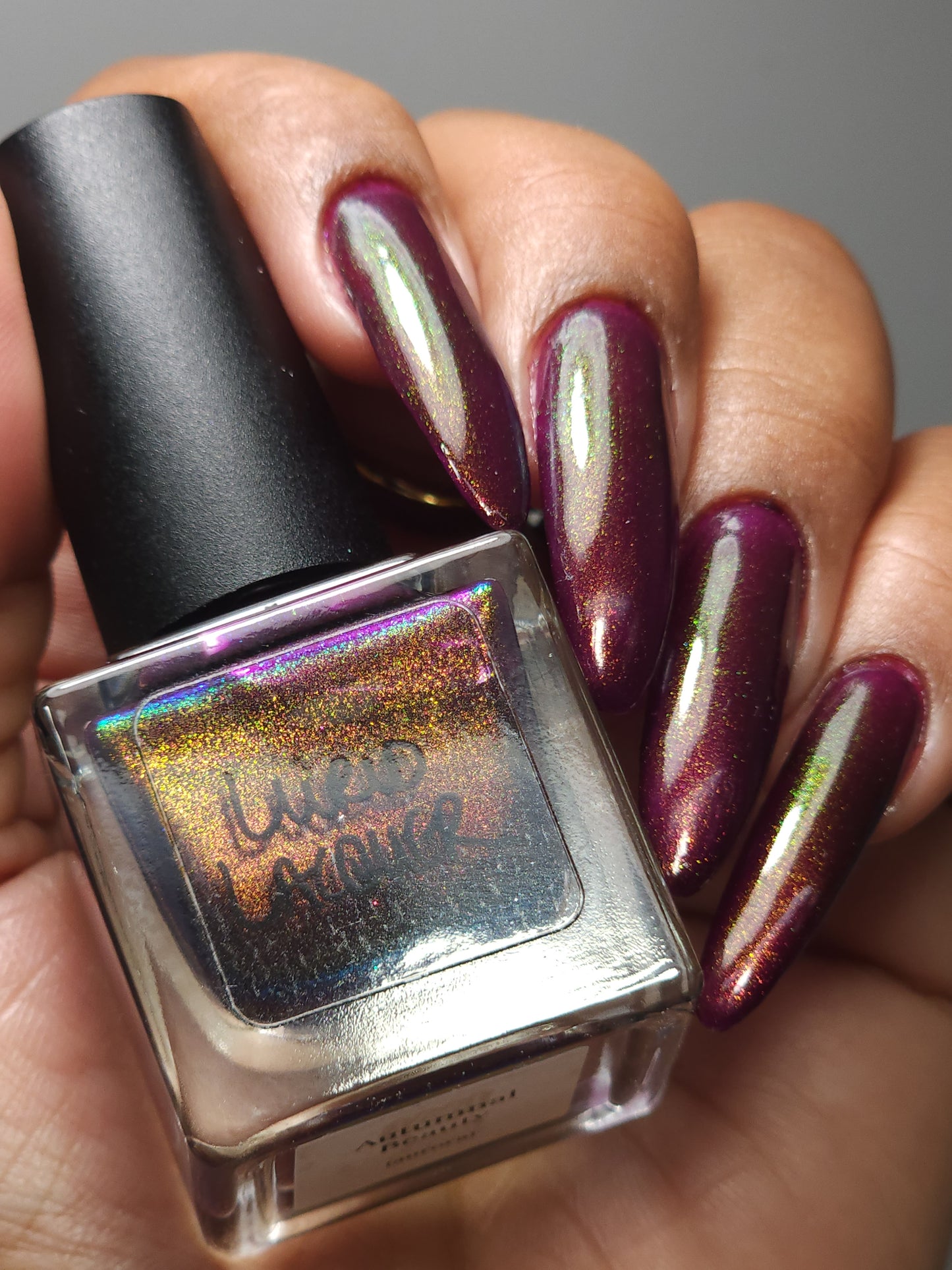 Autumnal Beauty (Aurora)