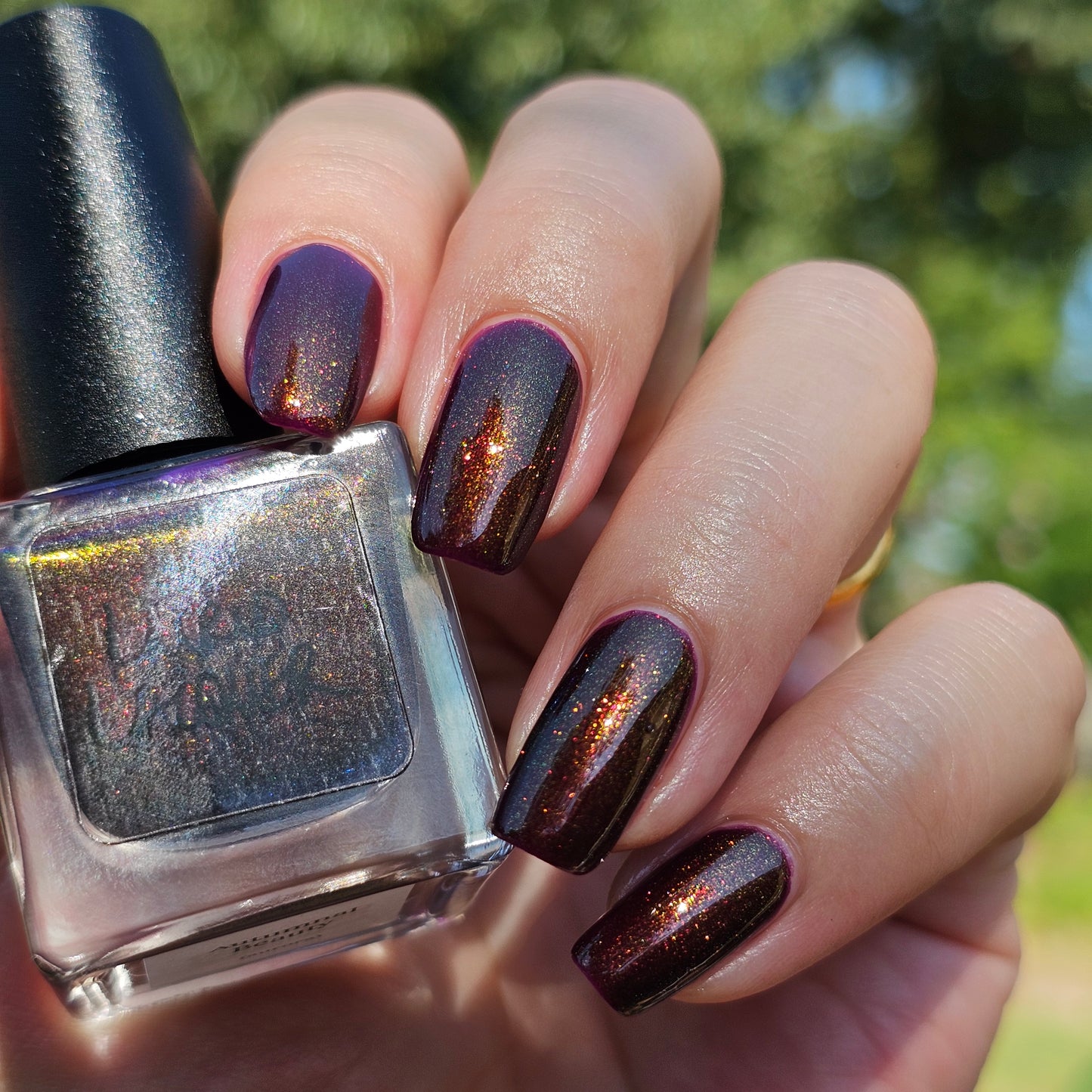 Autumnal Beauty (Aurora)