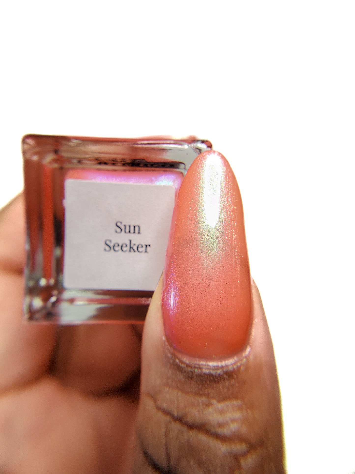 Sun Seeker