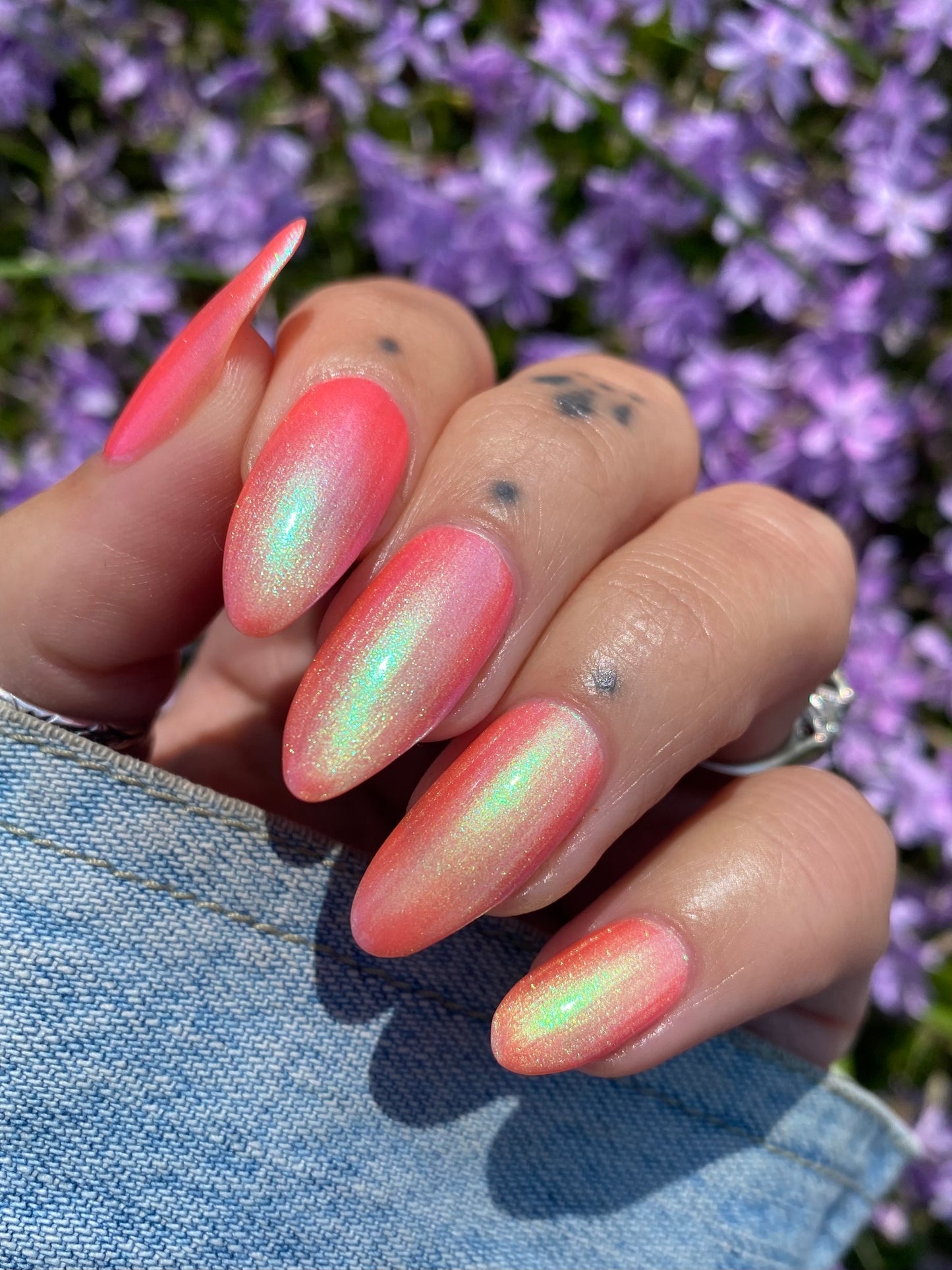Sun Seeker