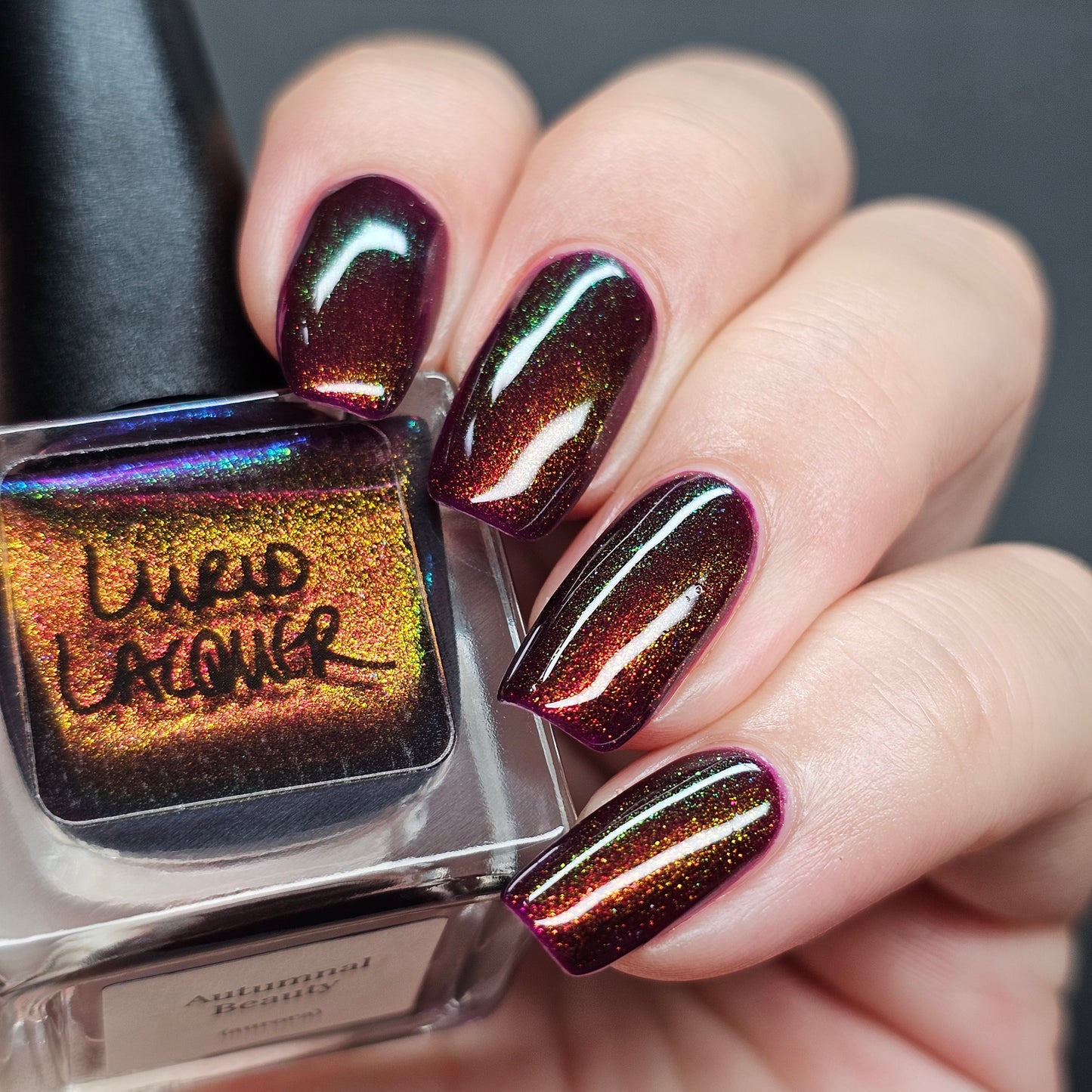 Autumnal Beauty (Aurora)
