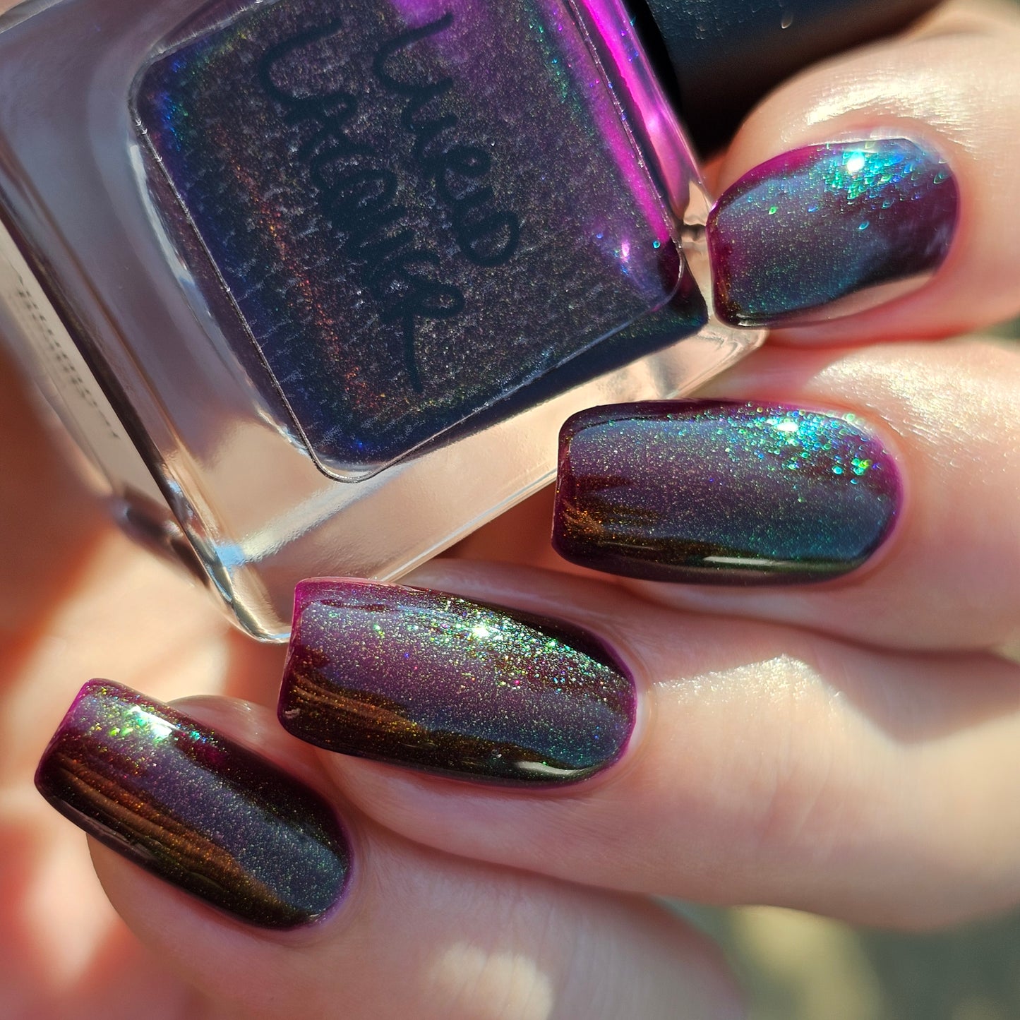 Autumnal Beauty (Aurora)