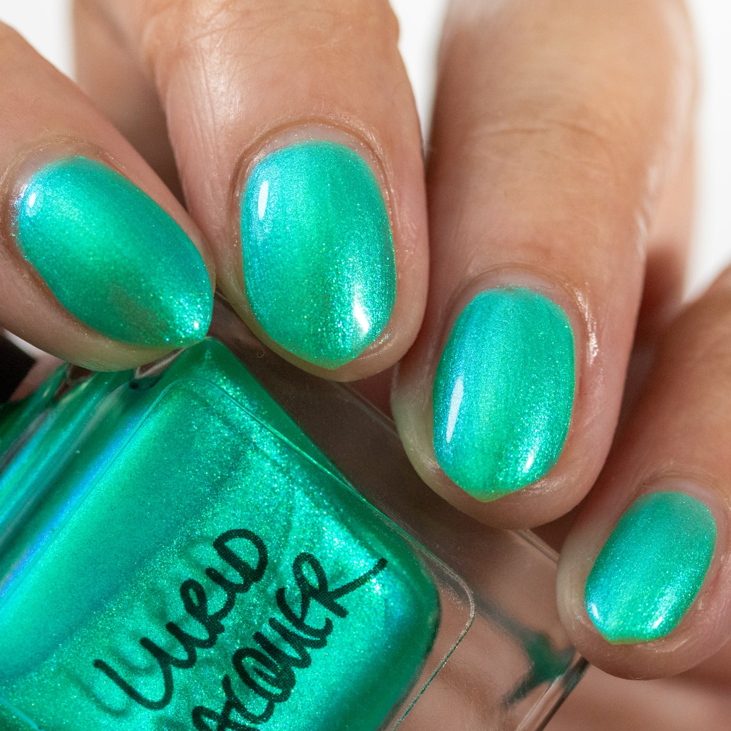 I Dream in Green