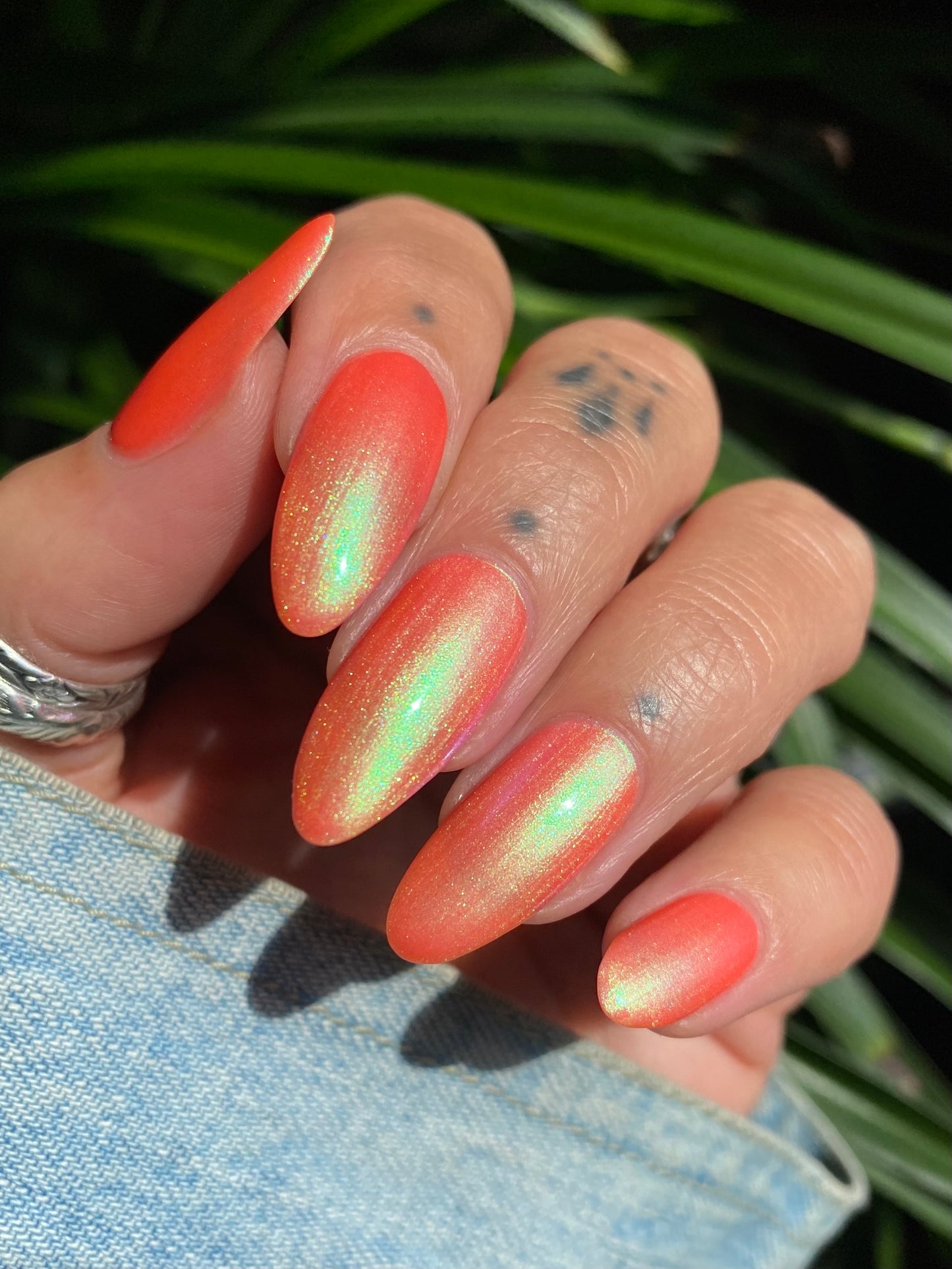 Sun Seeker
