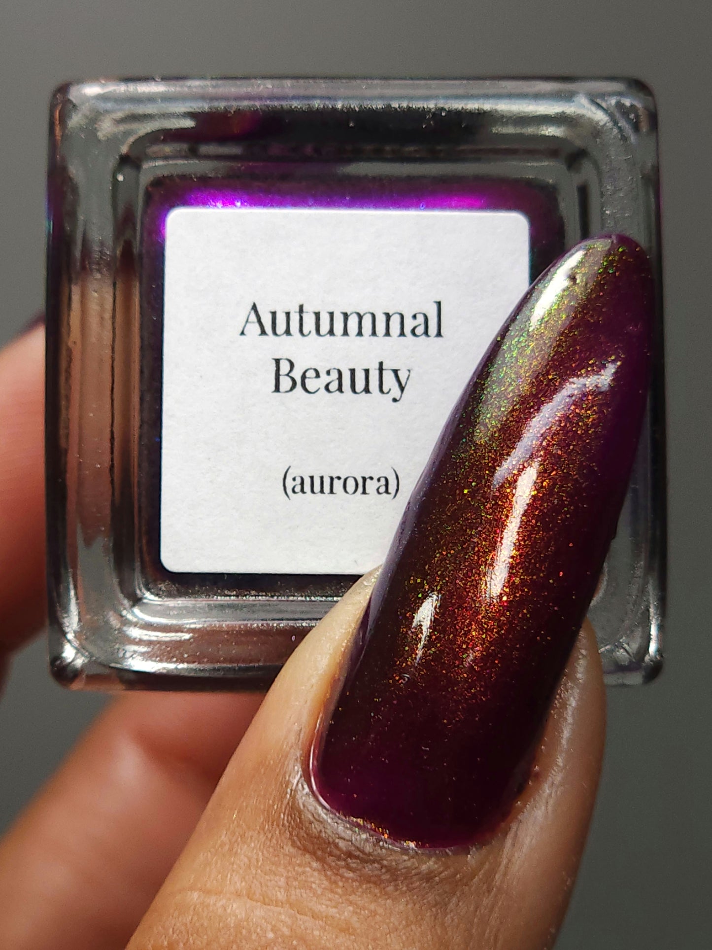 Autumnal Beauty (Aurora)