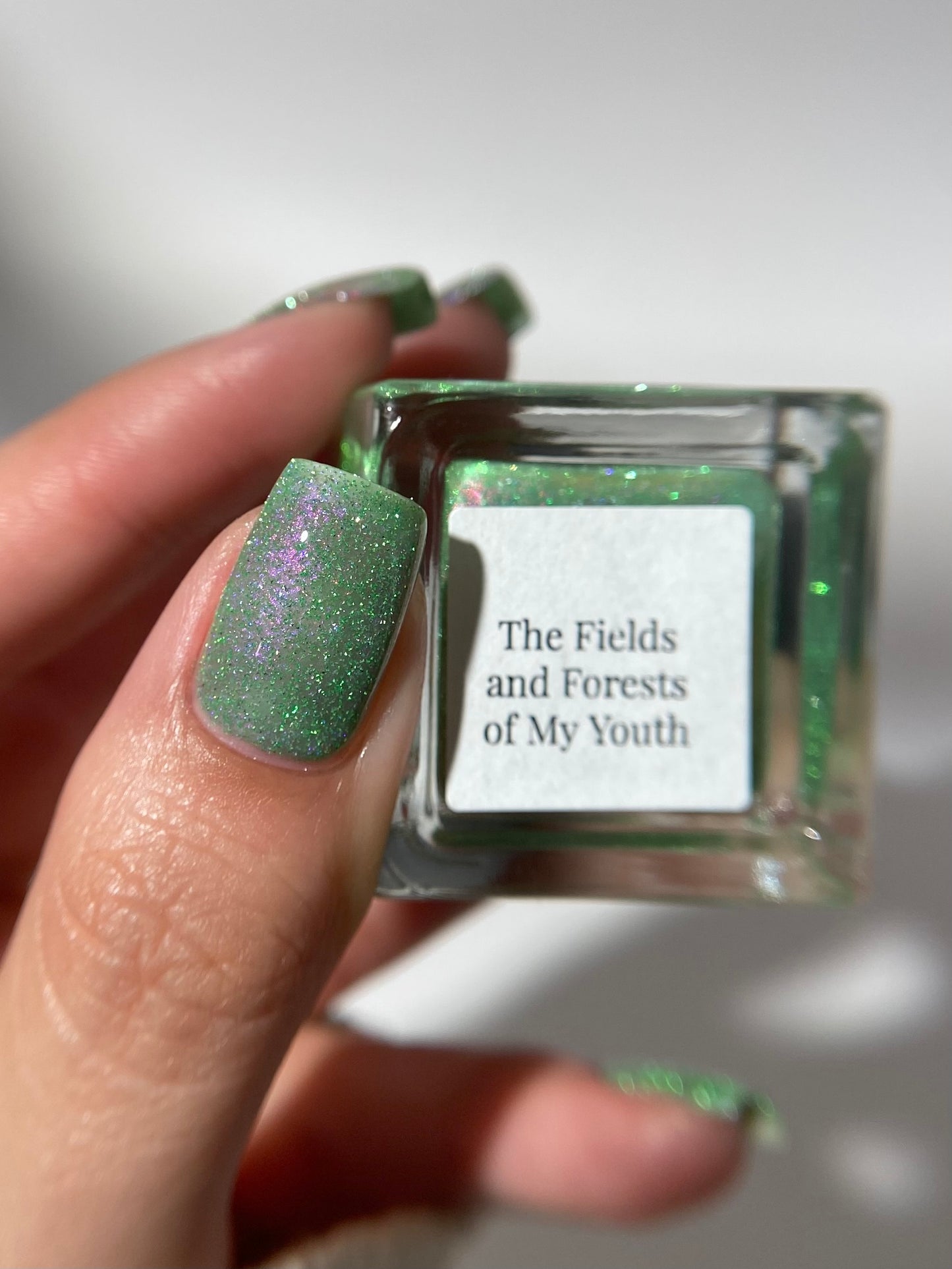 The Fields and Forests of My Youth