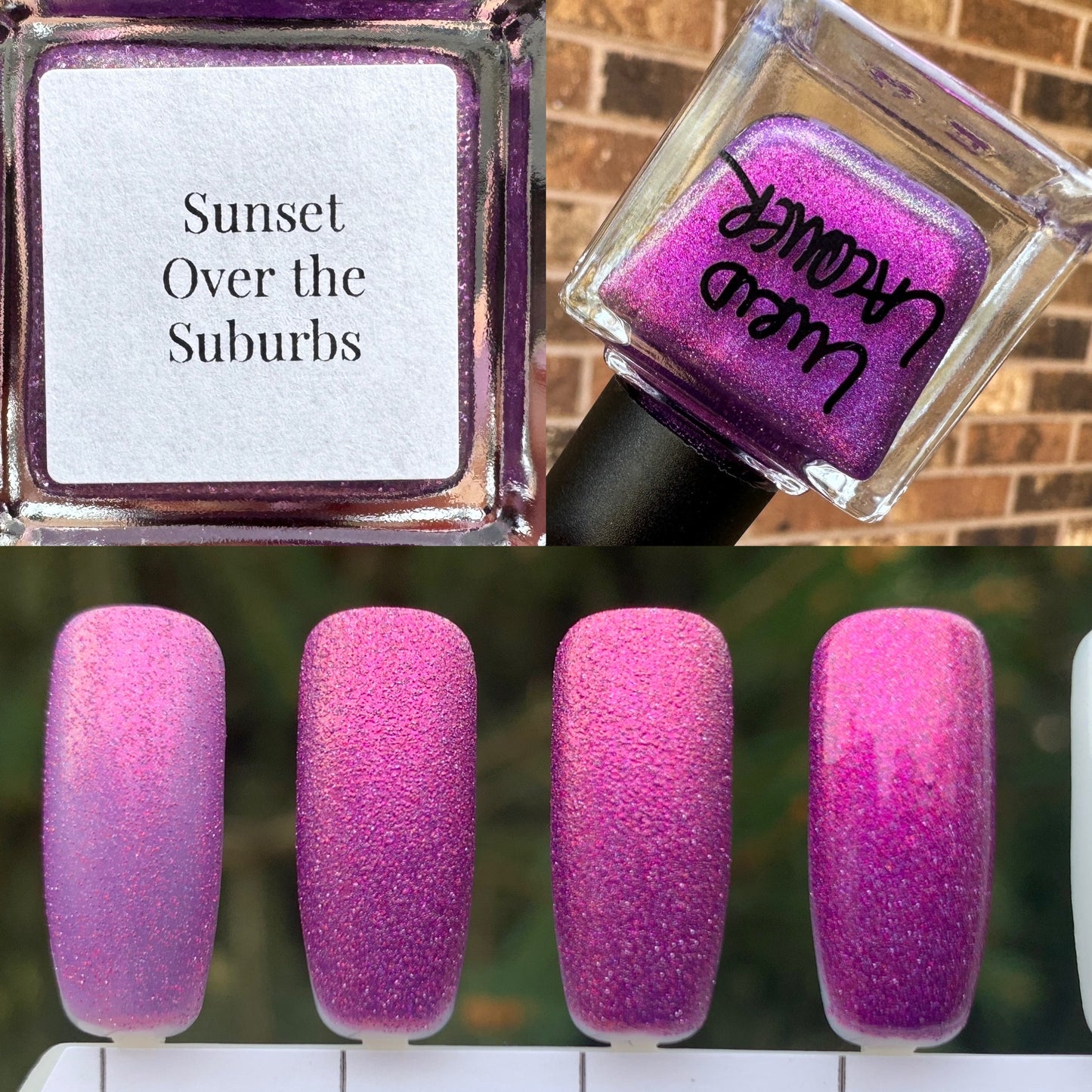 Sunset Over the Suburbs