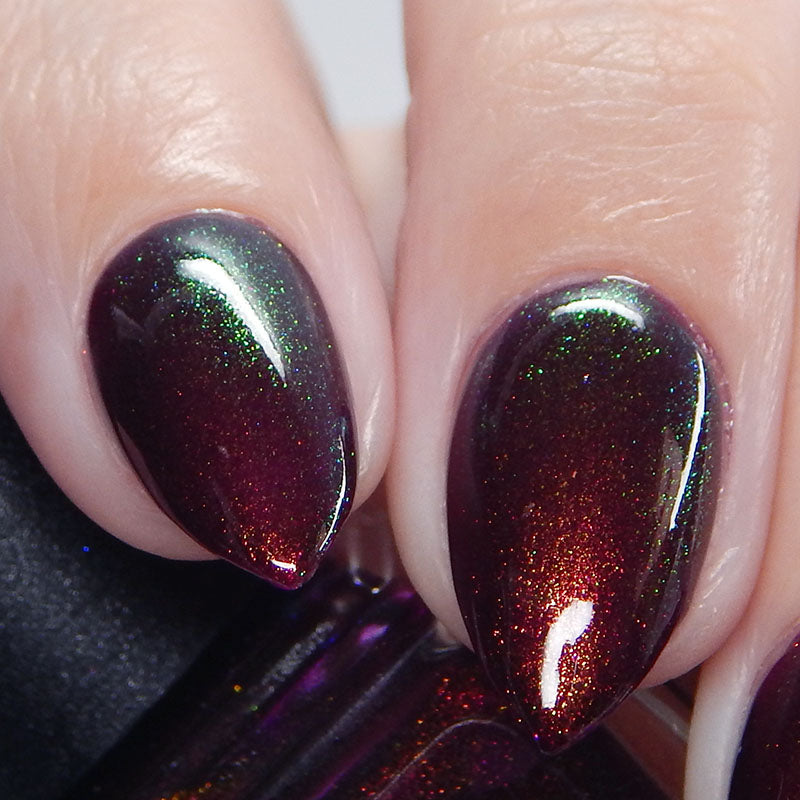 Autumnal Beauty (Aurora)
