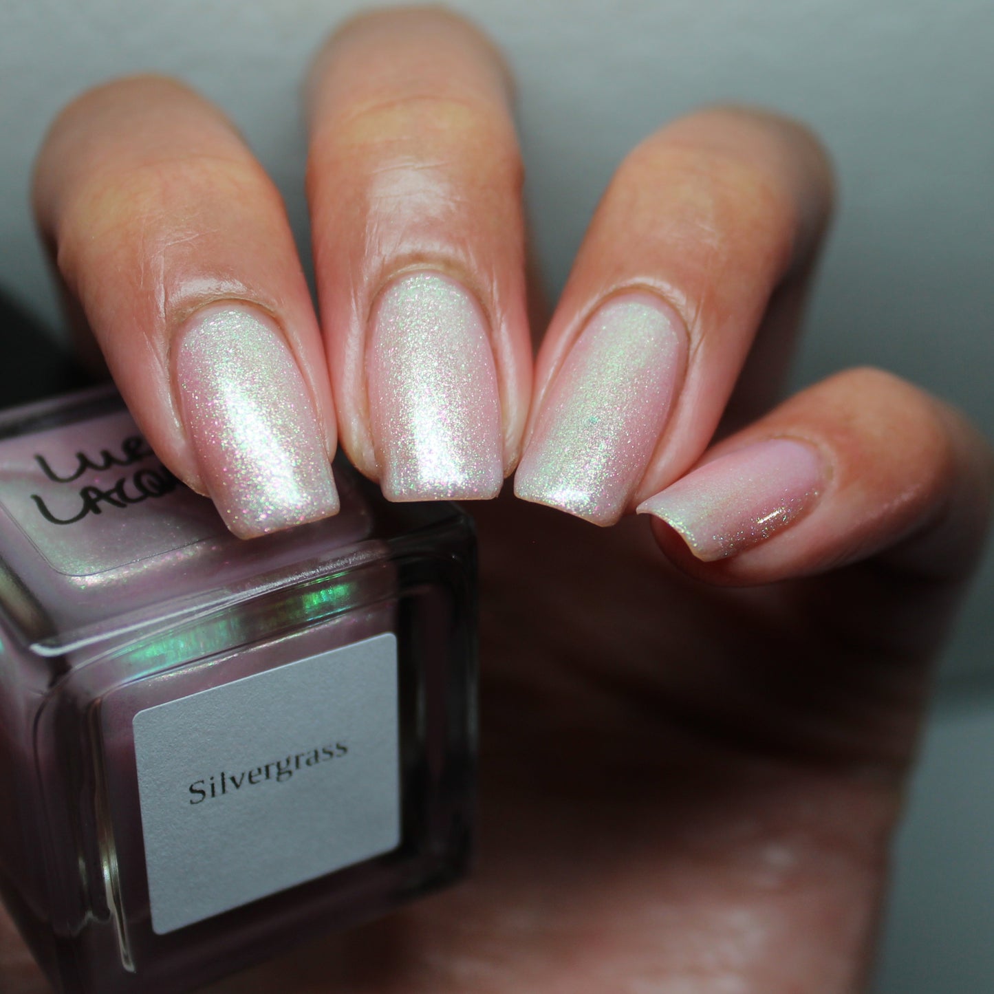 Silvergrass
