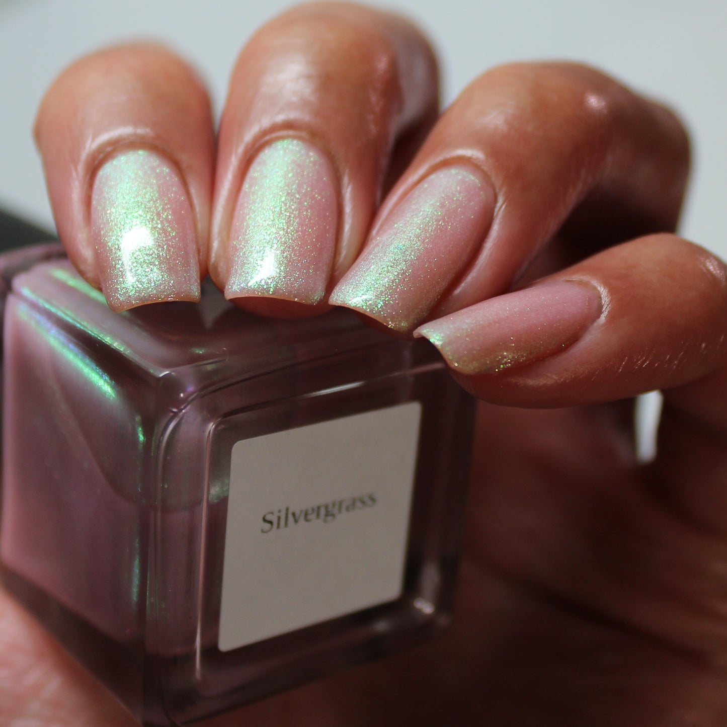 Silvergrass