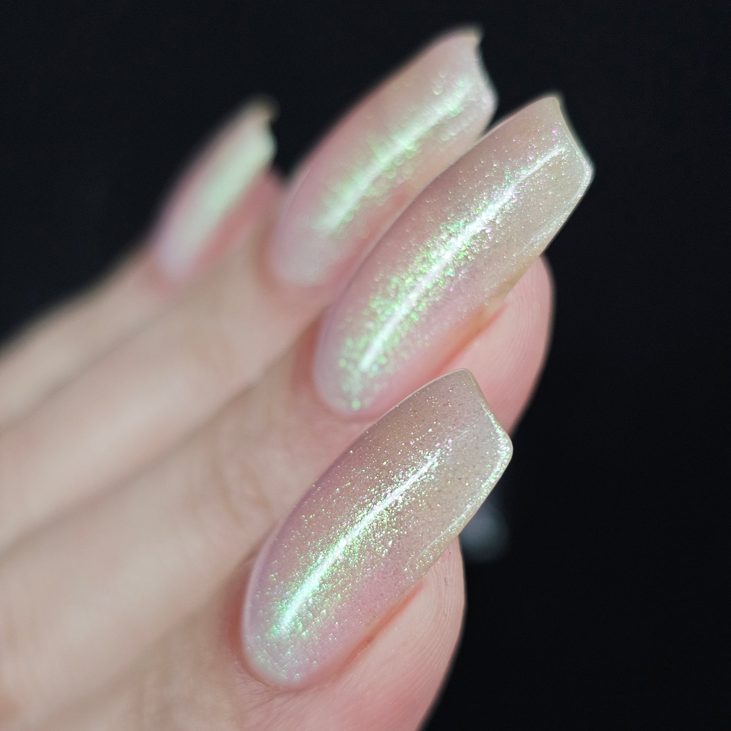 Silvergrass