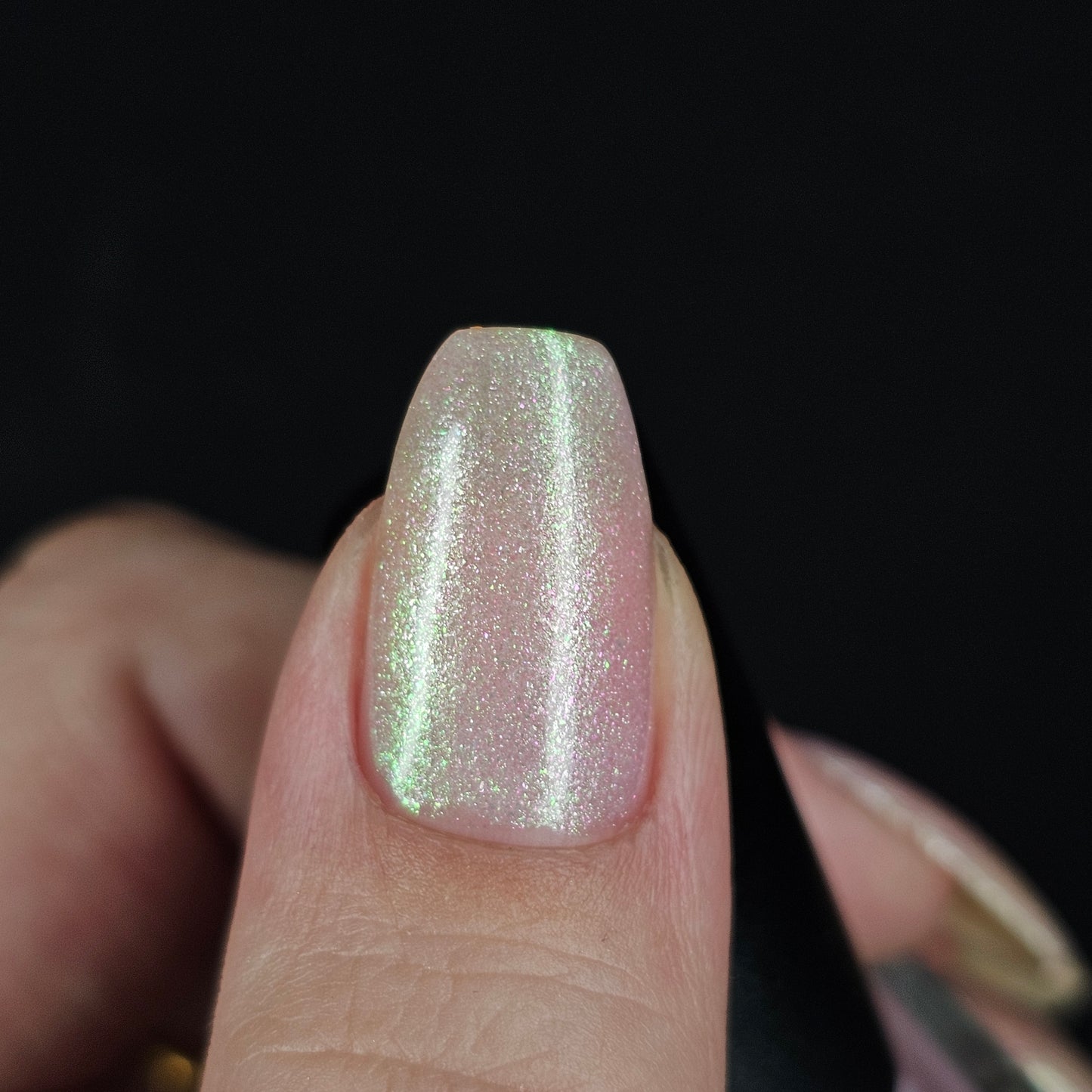 Silvergrass