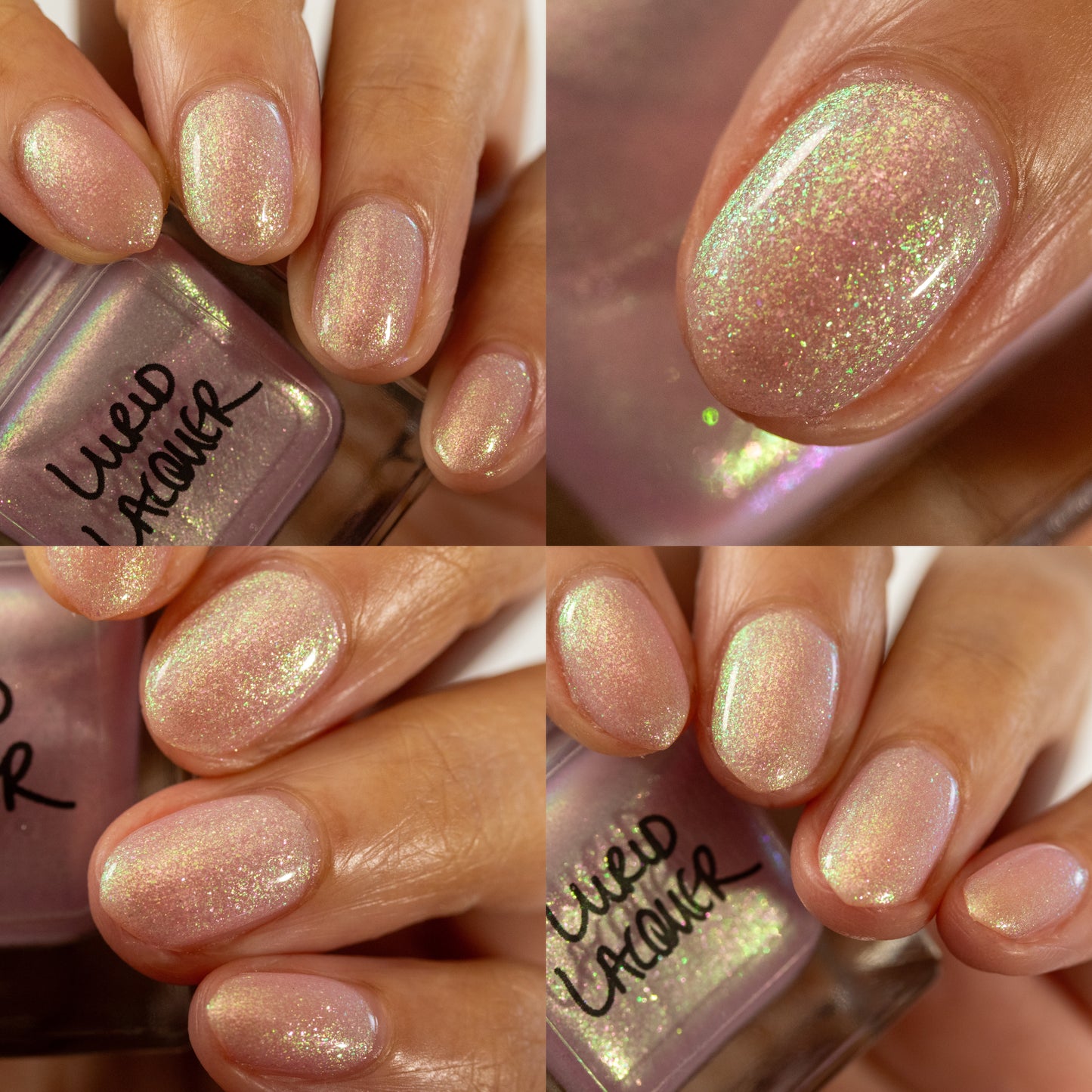 Silvergrass