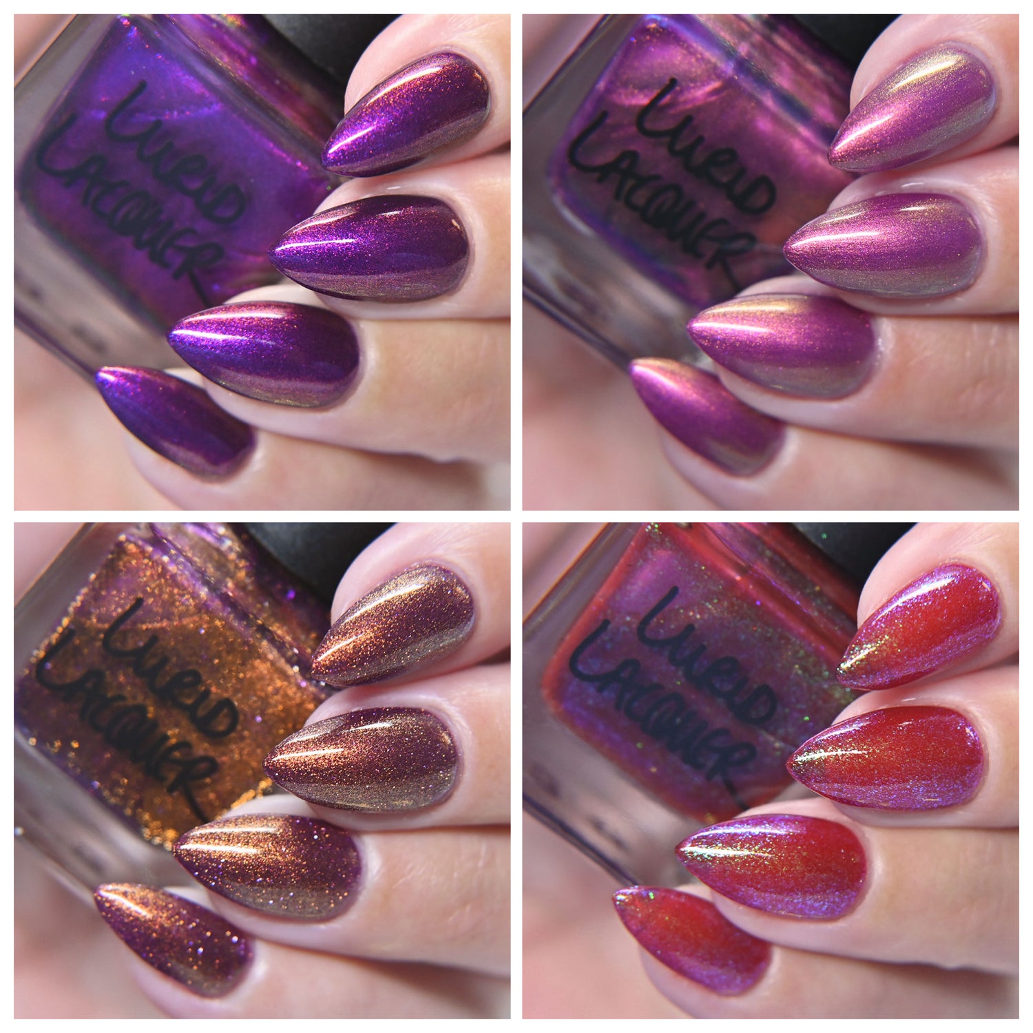 The Comforts of Home