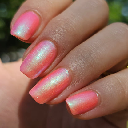 Sun Seeker