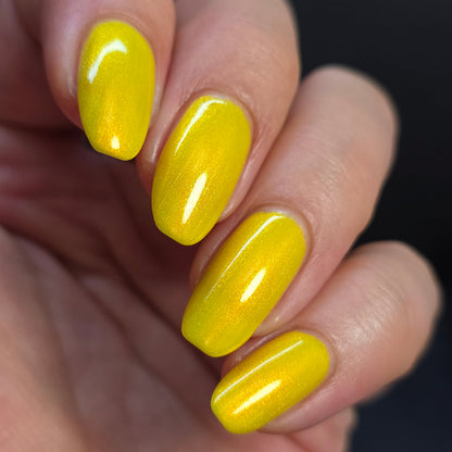 Yellow Coneflower (PBE Exclusive--Limtied Edition)