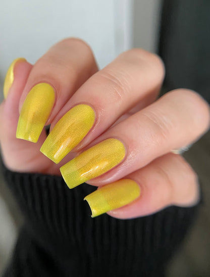 Yellow Coneflower (PBE Exclusive--Limtied Edition)