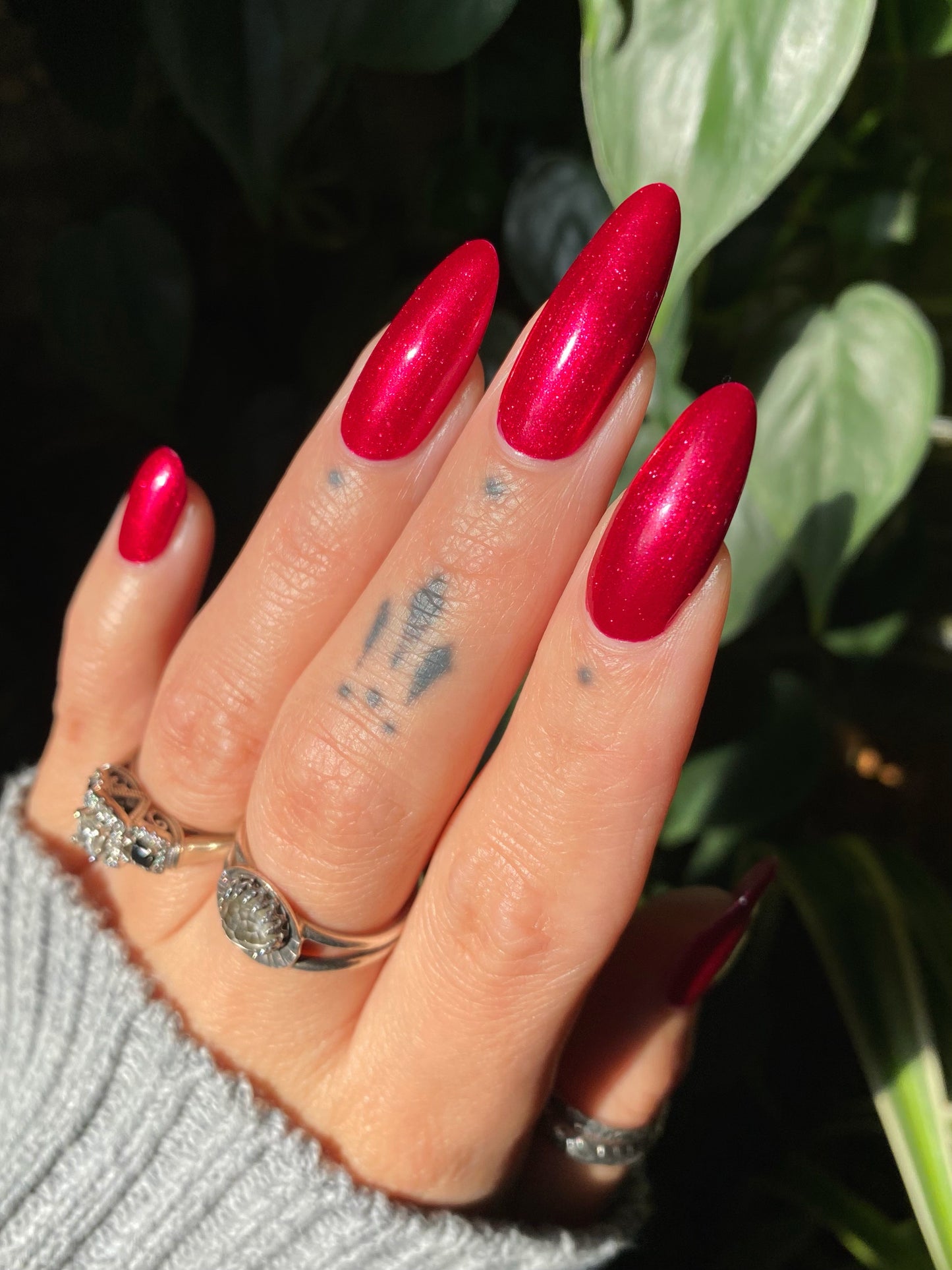 Protection Against Unreasonable Searches and Seizures