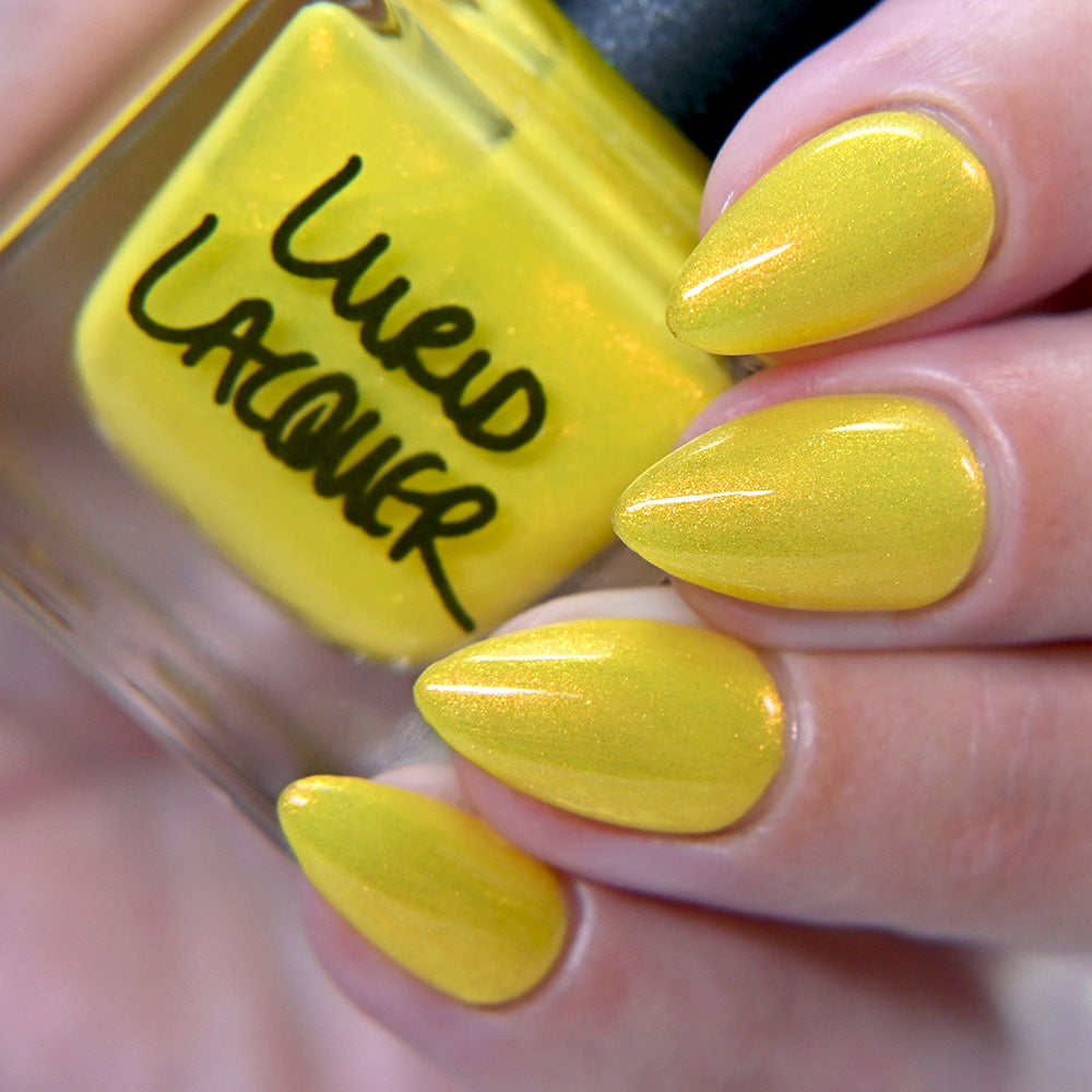 Yellow Coneflower (PBE Exclusive--Limtied Edition)