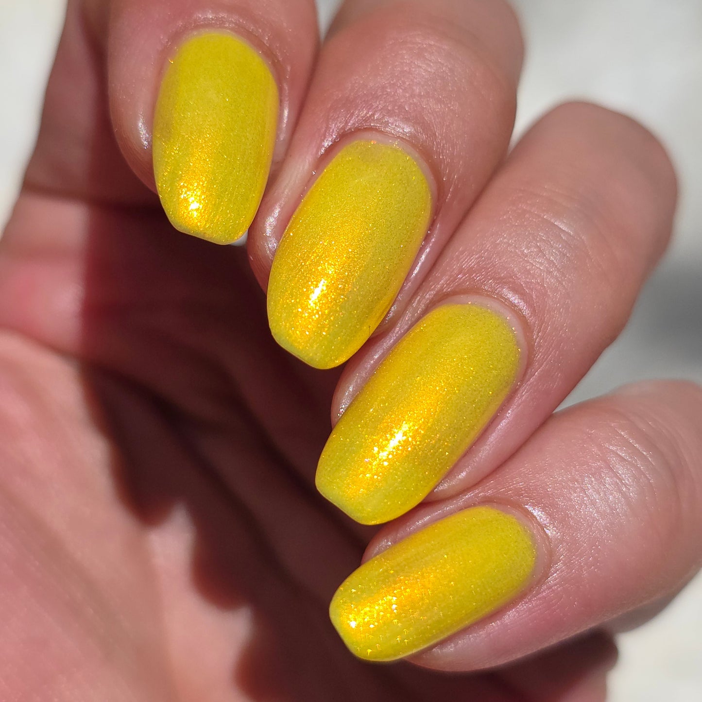 Yellow Coneflower (PBE Exclusive--Limtied Edition)