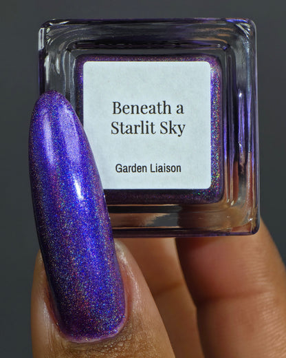 Beneath a Starlit Sky
