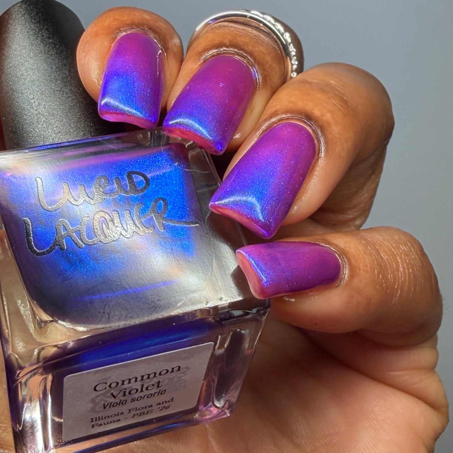 Common Violet (PBE Exclusive--Limited Edition)