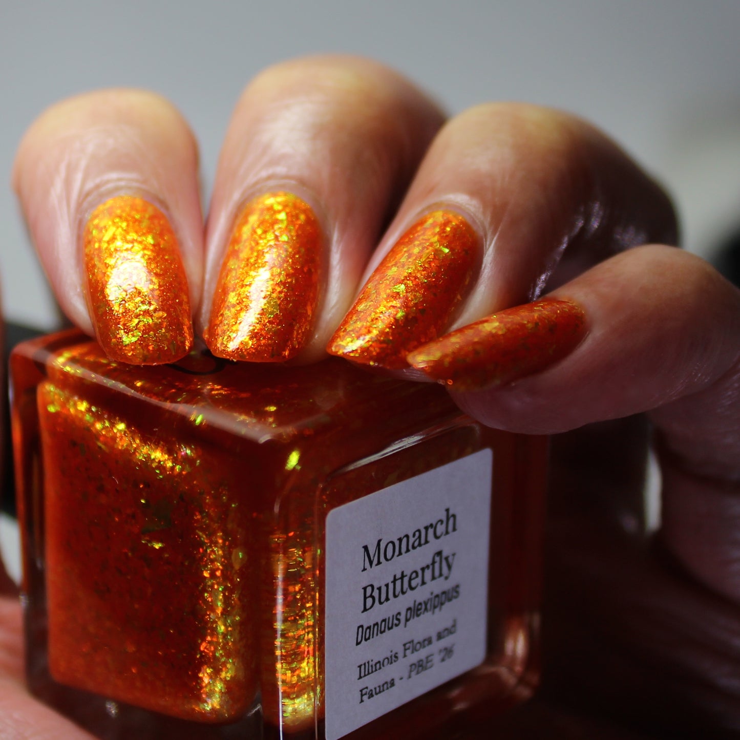 Monarch Butterly (PBE Exclusive-Limited Edition)