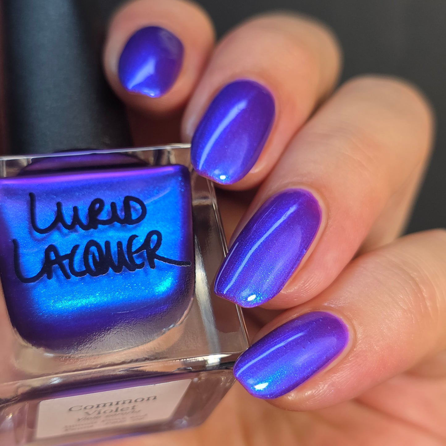 Common Violet (PBE Exclusive--Limited Edition)