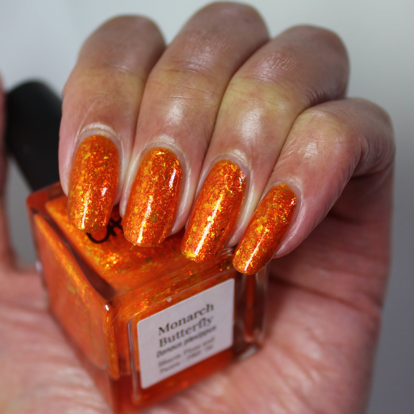 Monarch Butterly (PBE Exclusive-Limited Edition)
