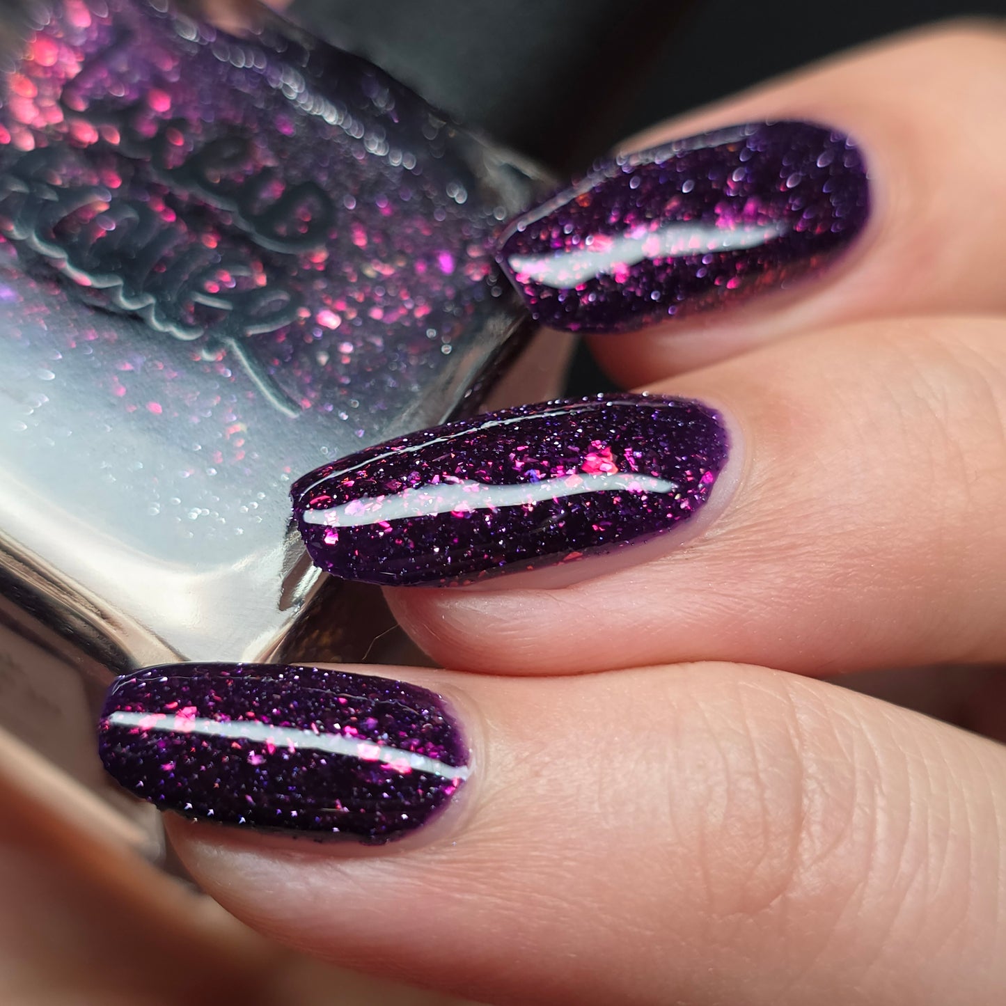 We Cloak Ourselves in Night