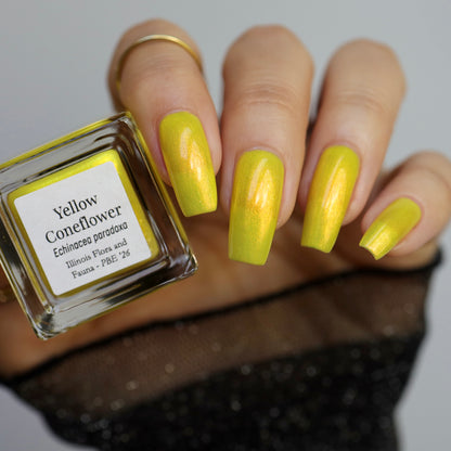 Yellow Coneflower (PBE Exclusive--Limtied Edition)