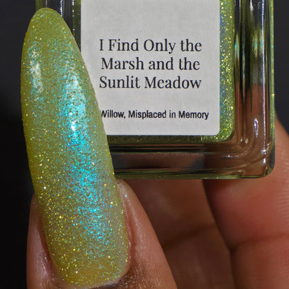 I Find Only the Marsh and the Sunlit Meadow