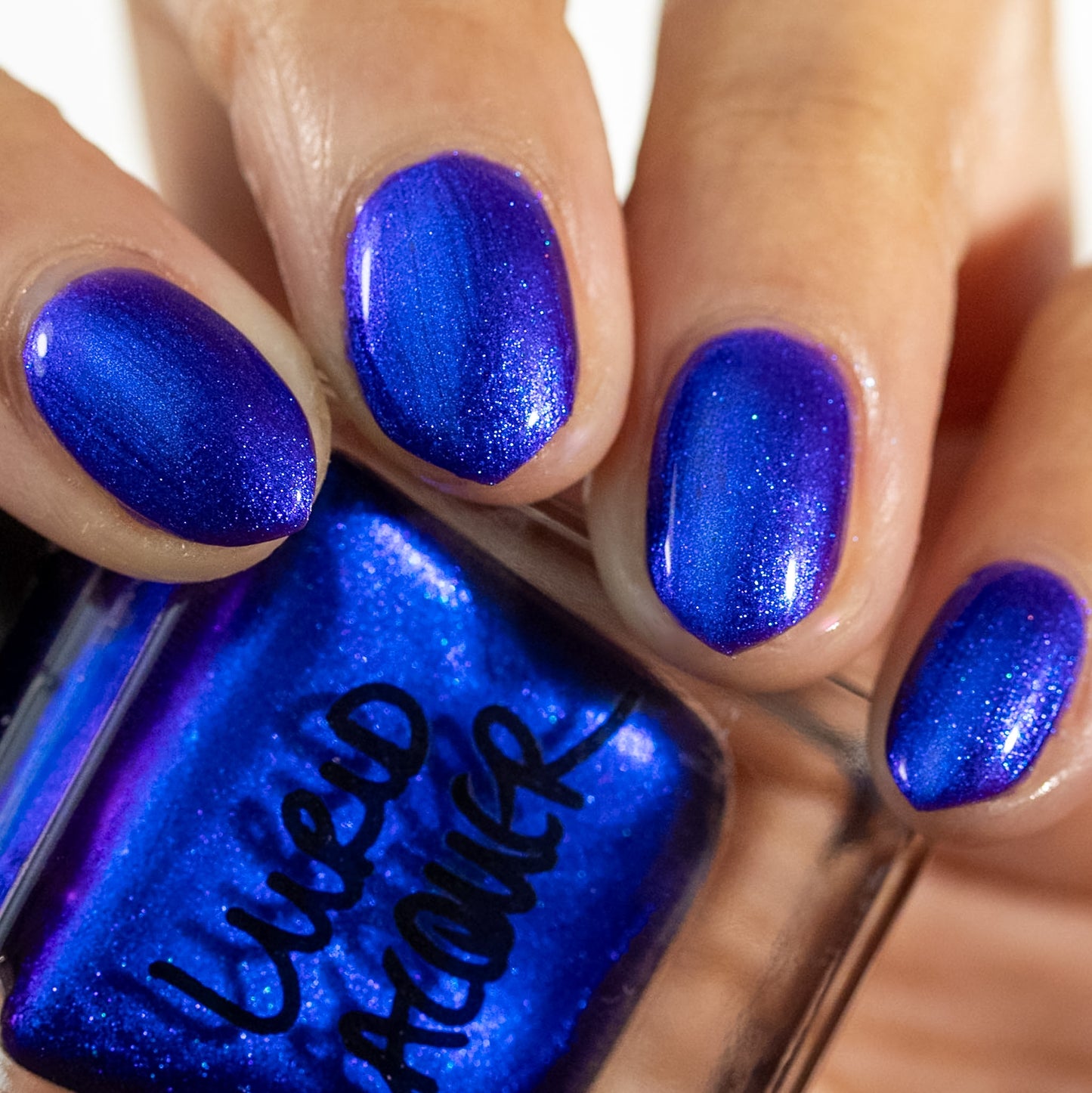 Blue Wild Indigo (PBE Exclusive--Limited Edition)