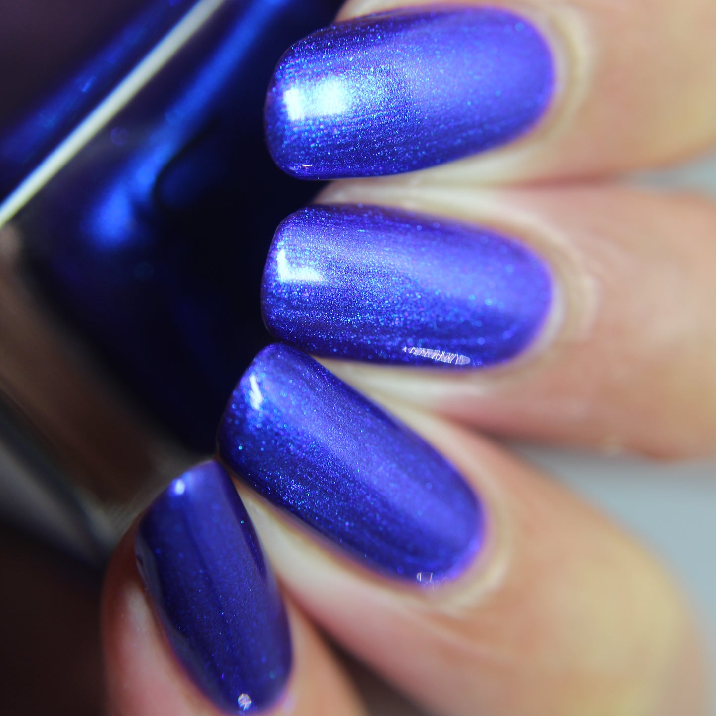 Blue Wild Indigo (PBE Exclusive--Limited Edition)