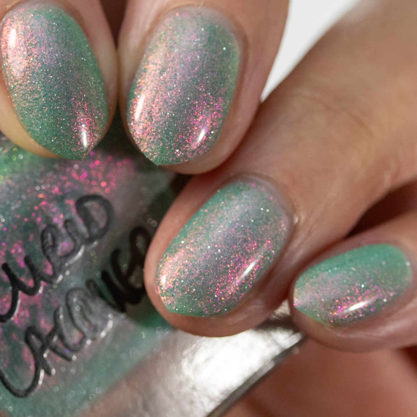 Ensconced by Blooms and Vines